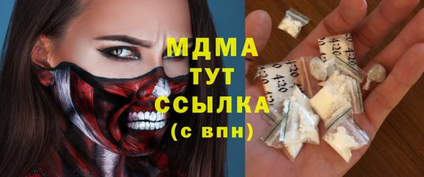 spice Богородицк