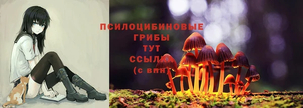 apvp Бикин