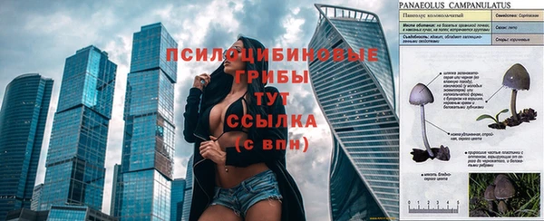 мет Михайлов