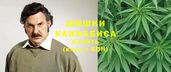 амф Михайловск
