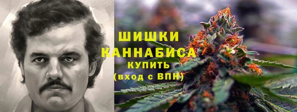 прущие крисы Билибино